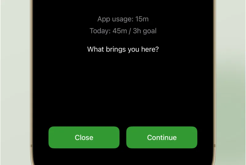 The Phoneless Garden pause screen showing a calm interface with the question What brings you here?